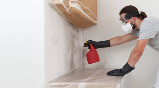 Professional Mold Removal technician working in Sanford, VA