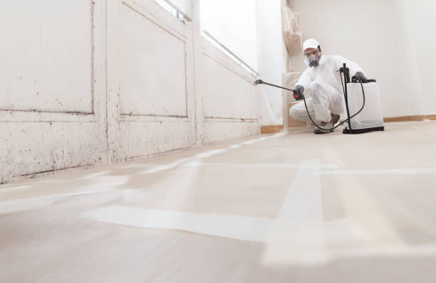 24/7 Emergency Mold Removal experts in Sanford, VA